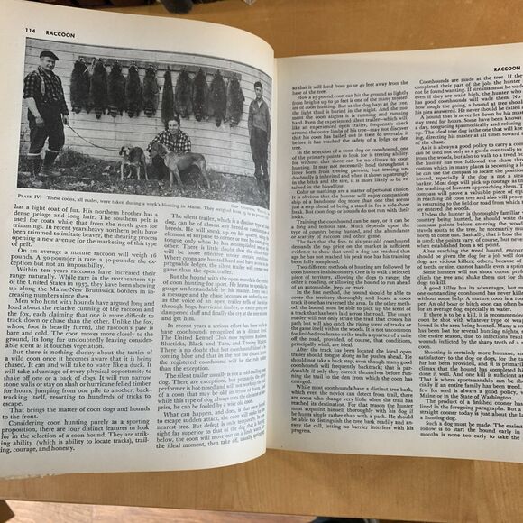 Survivalist Must! The New Hunter's Encyclopedia 1966 Hardcover How To Catch/Eat - Picture 8 of 14